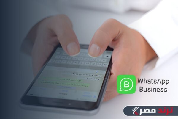 ضريبة القيمة المضافة على WhatsApp Business في مصر بدءاً من ديسمبر 2024 ضريبة القيمة المضافة على WhatsApp Business في مصر بدءاً من ديسمبر 2024